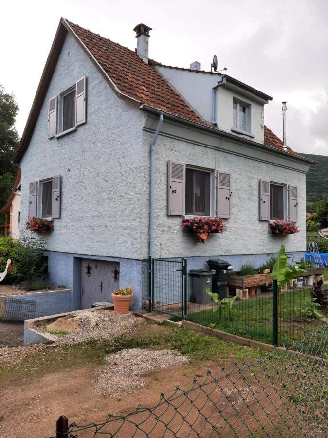 Gite Les Chiwawas D'Alsace Kaysersberg-Vignoble Exterior foto