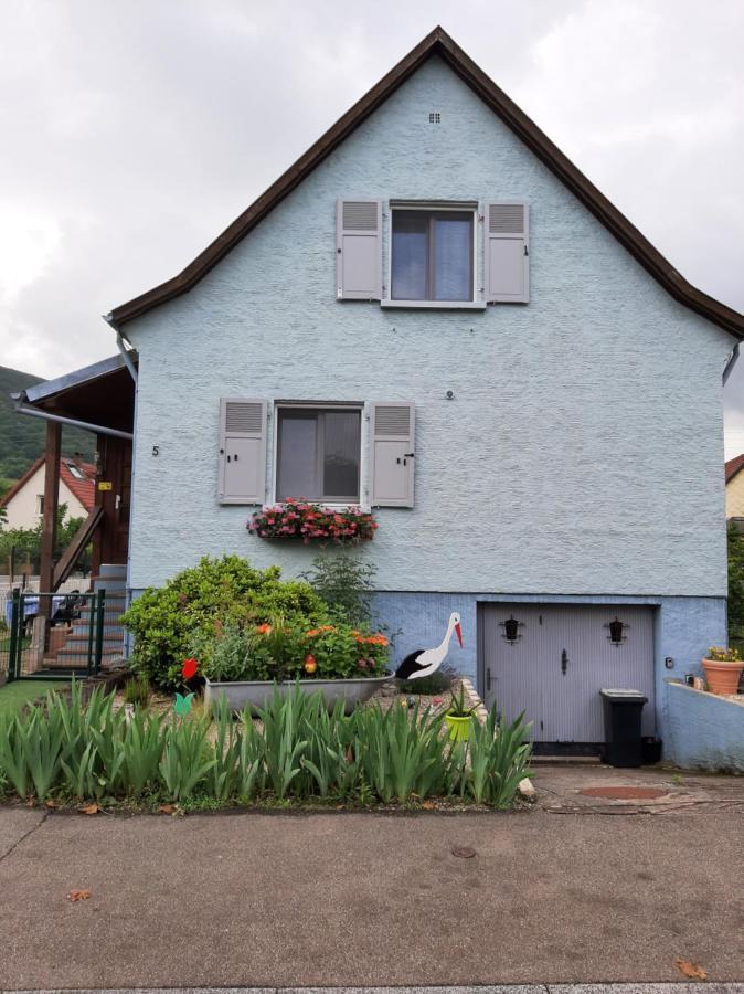 Gite Les Chiwawas D'Alsace Kaysersberg-Vignoble Exterior foto